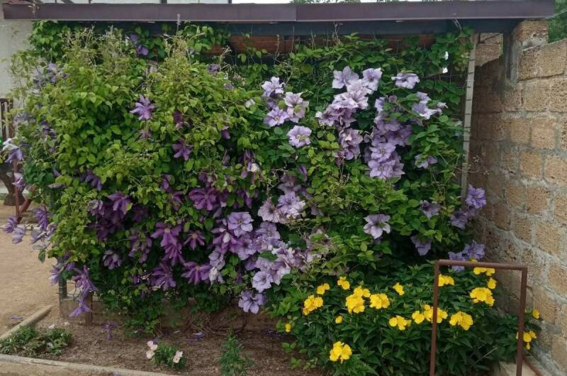 Изображение Изображение квартиры / апартамента "Этаж под ключ на Профсоюзной" #10 #8