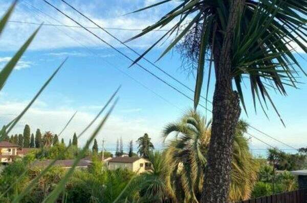 Изображение Изображение гостиницы "Гостевой дом «Вилла Блюз»" #1 #1