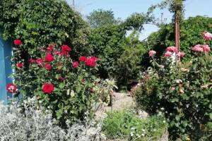 Изображение Дом под ключ «У Пелагеи» #5