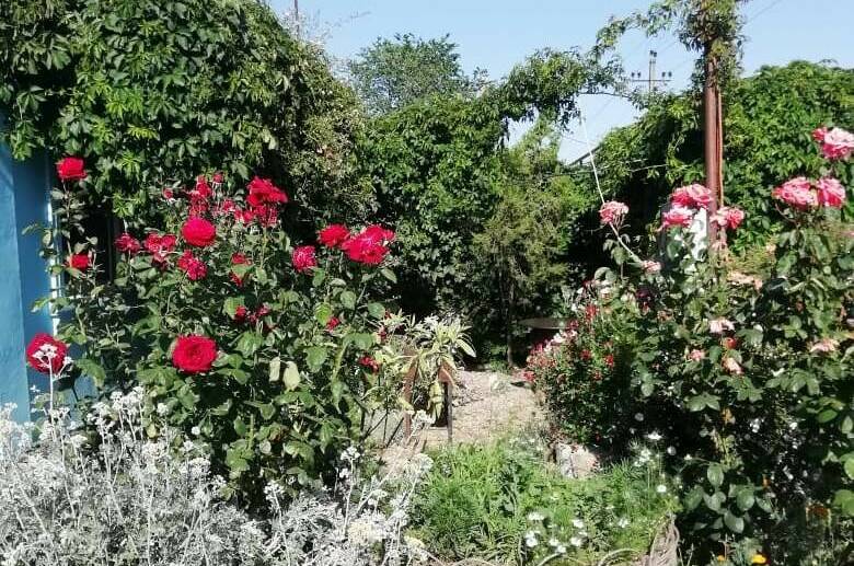 Изображение Изображение квартиры &quot;Дом под ключ «У Пелагеи»&quot; #1 #1