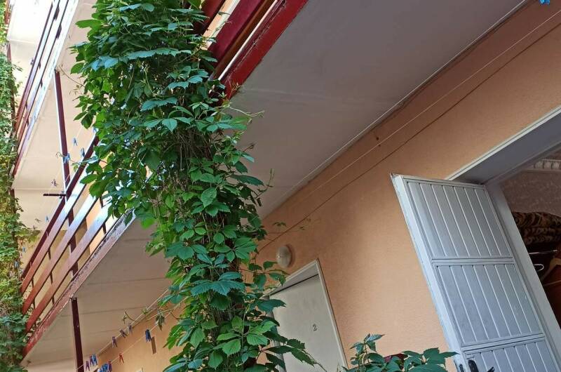 Изображение Изображение гостиницы &quot;Гостевой дом «Хотэй»&quot; #1 #1