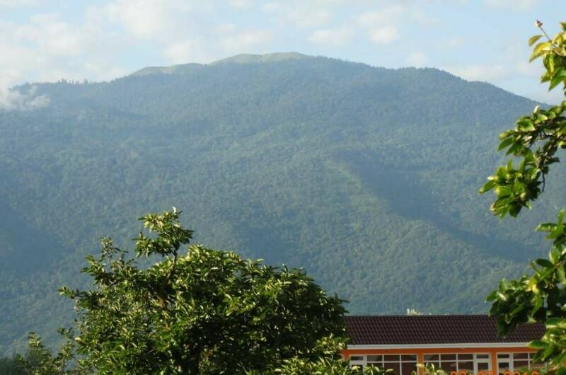 Изображение Изображение гостиницы &quot;Гостевой дом «У Риммы»&quot; #3 #3