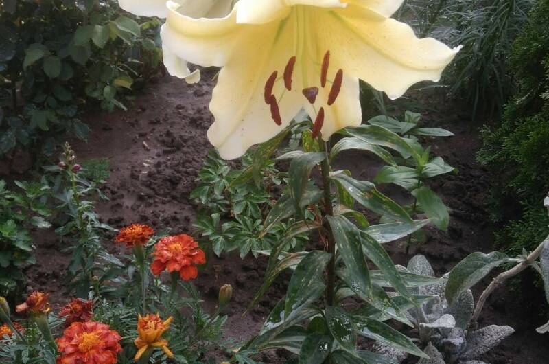 Изображение Изображение гостиницы &quot;Частный сектор «У Людмилы»&quot; #2 #2