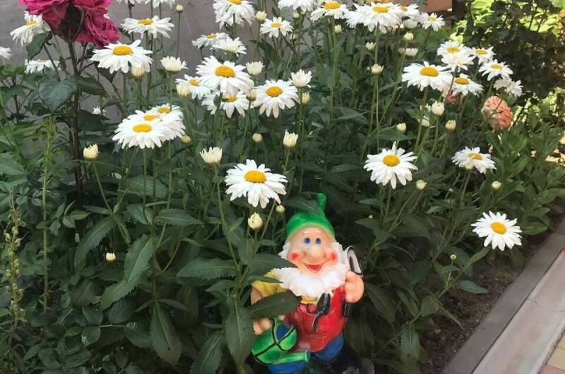 Изображение Изображение гостиницы &quot;Частный сектор «У Людмилы»&quot; #5 #5