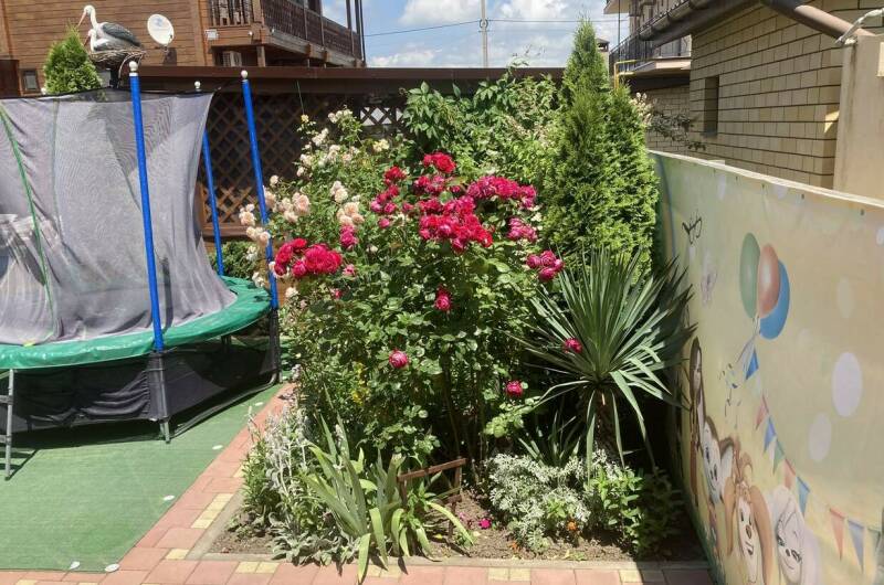 Изображение Изображение гостиницы &quot;Частный сектор «У Людмилы»&quot; #8 #8