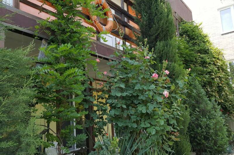 Изображение Изображение гостиницы &quot;Гостевой дом «Лада»&quot; #2 #2