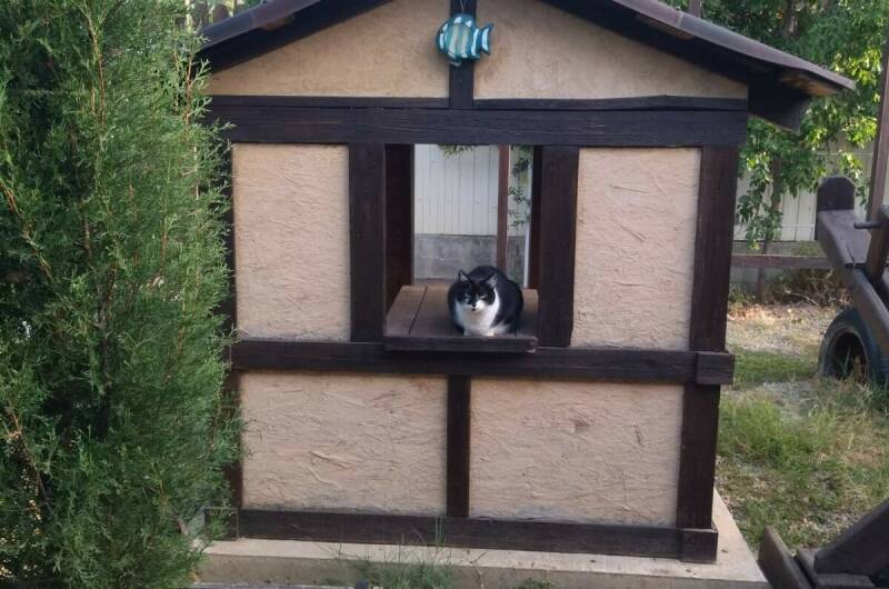 Изображение Изображение гостиницы &quot;Гостевой дом «Лада»&quot; #6 #6