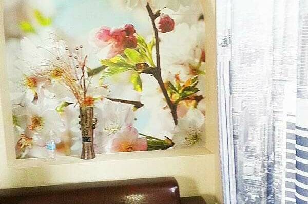 Изображение Изображение квартиры "Квартира в центре возле пляжа" #3 #3