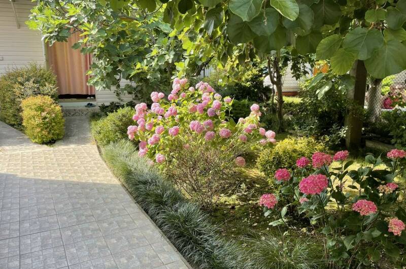 Изображение Изображение гостиницы &quot;Гостевой дом «Вероника»&quot; #2 #2