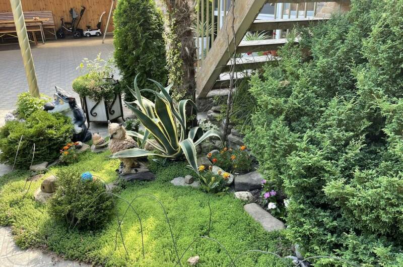 Изображение Изображение гостиницы &quot;Гостевой дом «Вероника»&quot; #6 #6