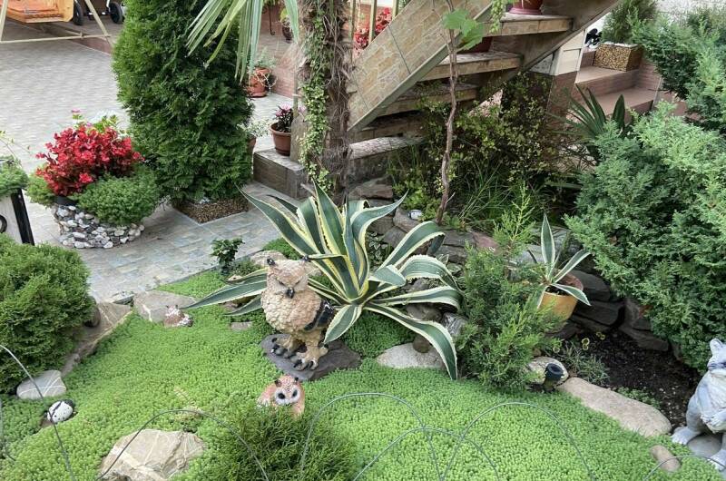 Изображение Изображение гостиницы &quot;Гостевой дом «Вероника»&quot; #8 #8