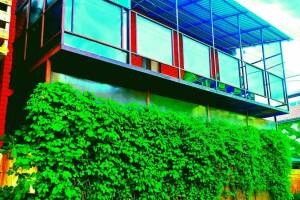 Изображение Дом на Солнечной #5