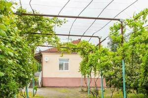 Изображение гостиницы "Гостевой дом «U Vili»"