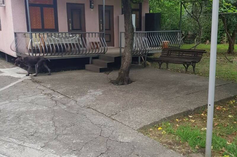 Изображение Изображение квартиры &quot;Отдельный дом под ключ&quot; #5 #5