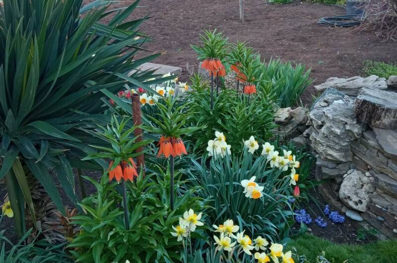 Изображение Изображение гостиницы &quot;Частный сектор на Профсоюзной&quot; #6 #6