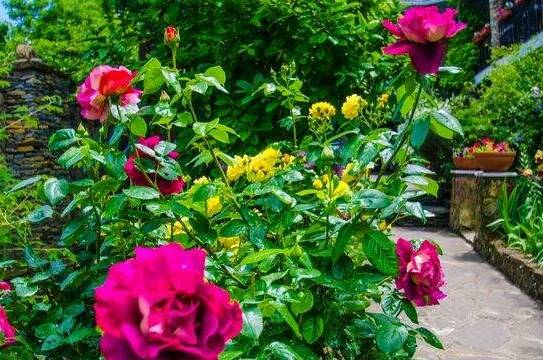 Изображение Изображение гостиницы &quot;Гостевой дом «Райская усадьба»&quot; #3 #3