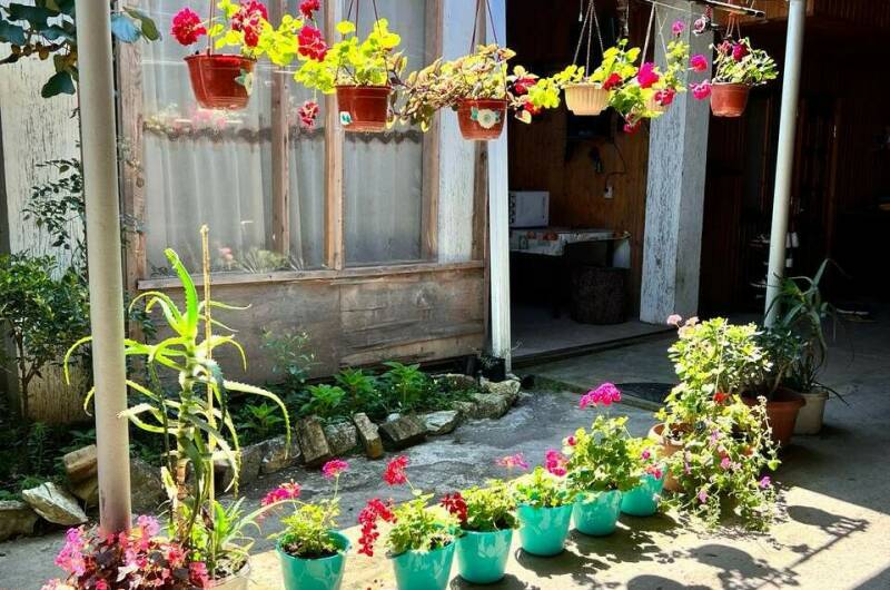 Изображение Изображение отеля / гостиницы "Гостевой дом «Морской бриз у Артура»" #10 #8