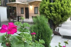 Изображение гостиницы "Гостевой дом «Sofia»"