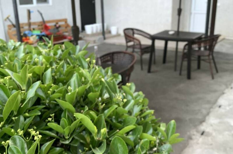 Изображение Изображение гостиницы &quot;Гостевой дом «Sofia»&quot; #3 #3