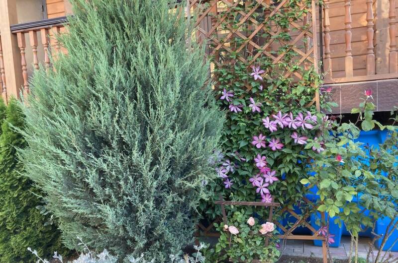 Изображение Изображение отеля / гостиницы "Частный сектор «У Людмилы»" #11 #9