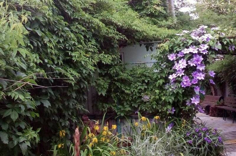 Изображение Изображение гостиницы &quot;Гостевой дом «Незабываемое лето»&quot; #8 #8