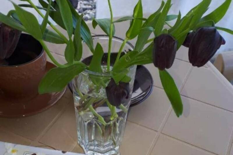 Изображение Изображение квартиры &quot;Домик «У Лизы»&quot; #7 #7