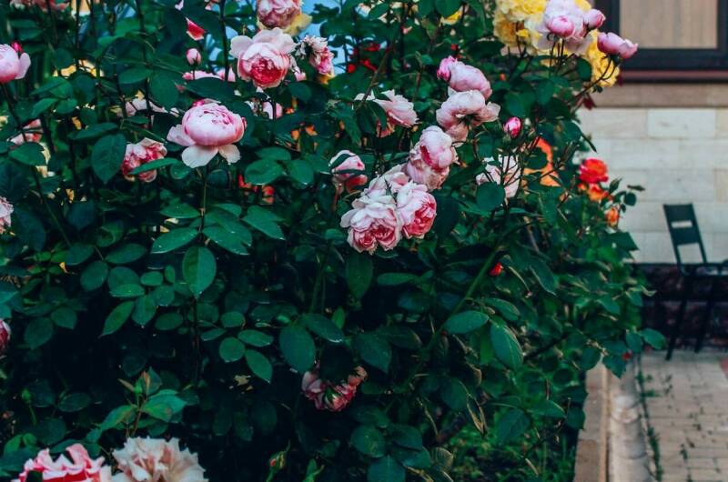 Изображение Изображение гостиницы &quot;Гостевой дом «ALTA eco Villa»&quot; #2 #2