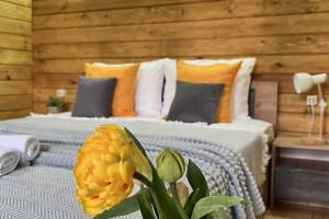 Изображение Эко-коттедж «Ашта» #6