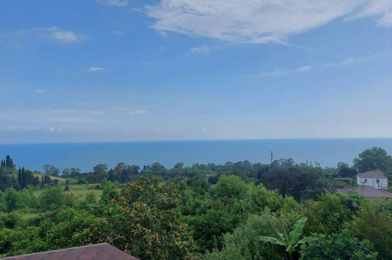 Изображение Изображение гостиницы "Гостевой дом «Анюта»" #1 #1