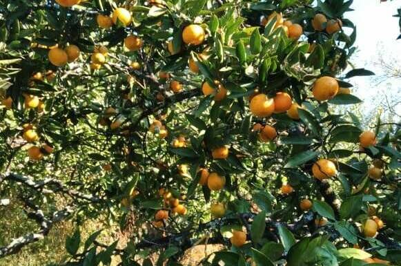 Изображение Изображение гостиницы "Гостевой дом «Анюта»" #6 #6