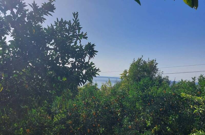 Изображение Изображение отеля / гостиницы "Гостевой дом «Анюта»" #11 #9