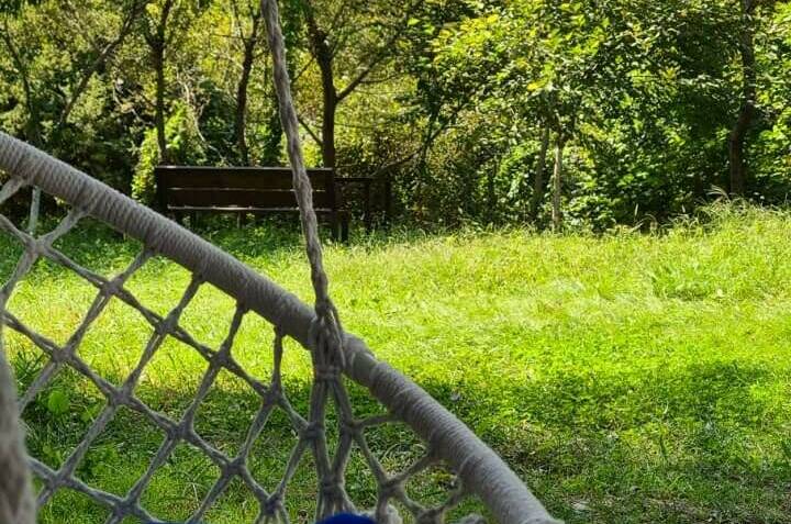 Изображение Изображение гостиницы &quot;Гостевой дом «Старый ясень»&quot; #2 #2