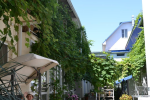 Изображение Частный сектор «Миндаль» #3