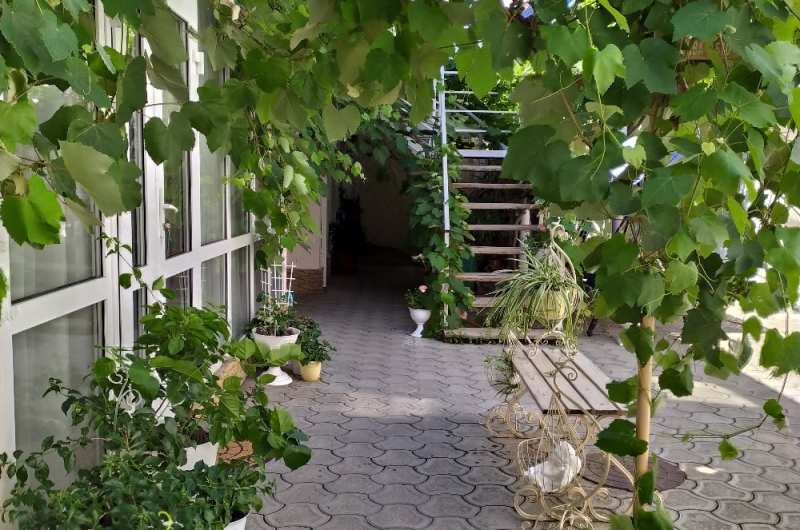 Изображение Изображение гостиницы &quot;Частный сектор «Миндаль»&quot; #8 #8