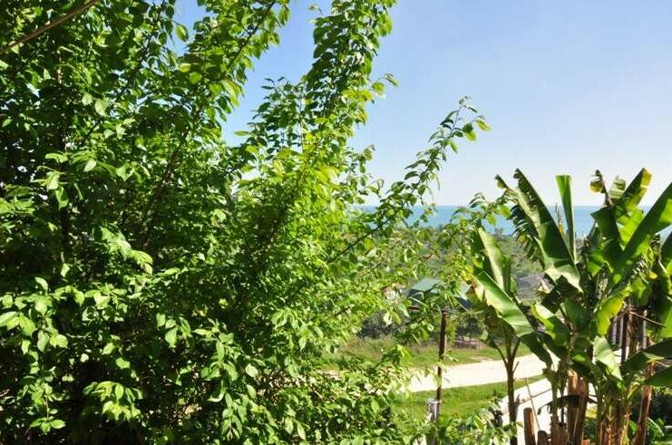 Изображение Изображение гостиницы "Гостевой дом «у Гаяне»" #7 #7