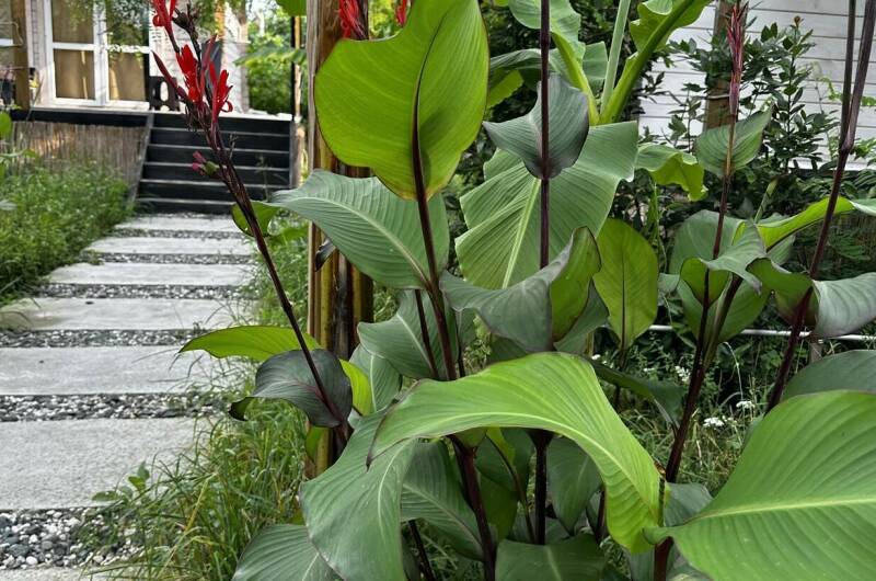 Изображение Изображение отеля / гостиницы "Отель «Aqua Palm Resort»" #11 #9