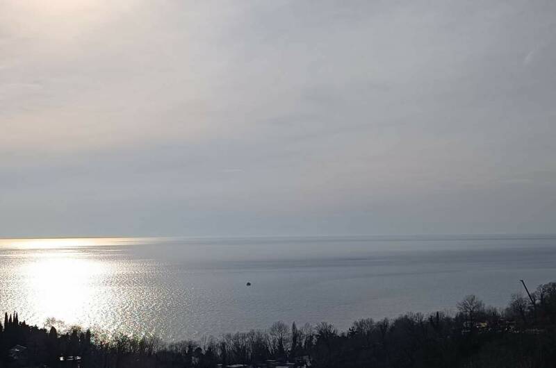 Изображение Изображение квартиры "Студия на Звездной" #2 #2