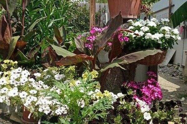 Изображение Изображение гостиницы &quot;Гостевой дом «Людмила»&quot; #1 #1