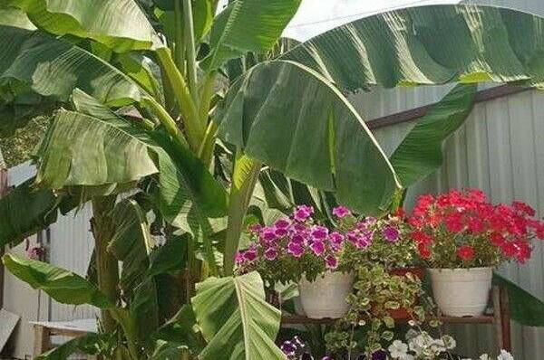 Изображение Изображение гостиницы &quot;Гостевой дом «Людмила»&quot; #2 #2