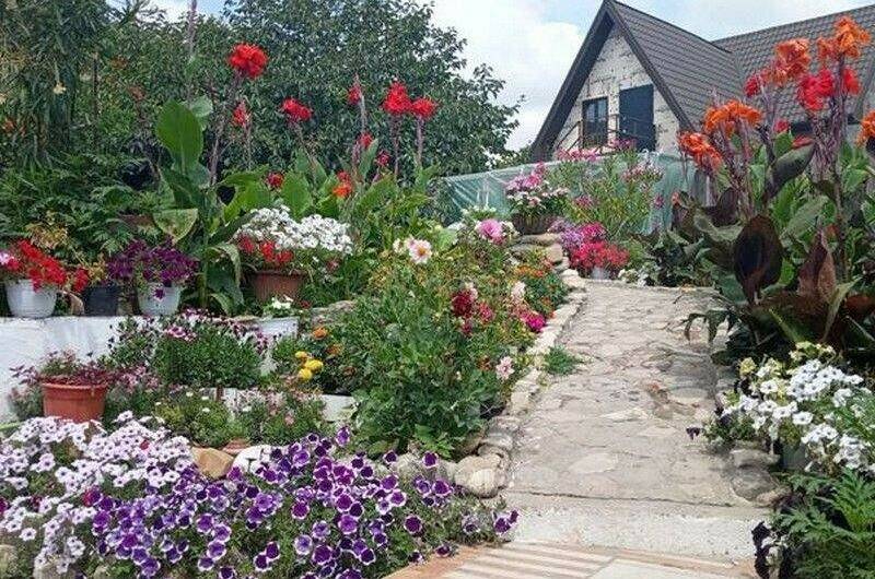 Изображение Изображение гостиницы &quot;Гостевой дом «Людмила»&quot; #5 #5