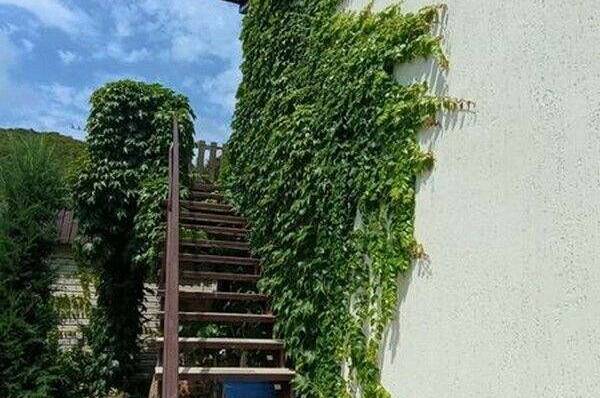 Изображение Изображение гостиницы &quot;Гостевой дом «Людмила»&quot; #6 #6