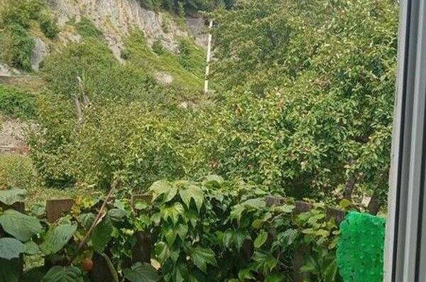 Изображение Изображение отеля / гостиницы "Гостевой дом «Людмила»" #10 #8