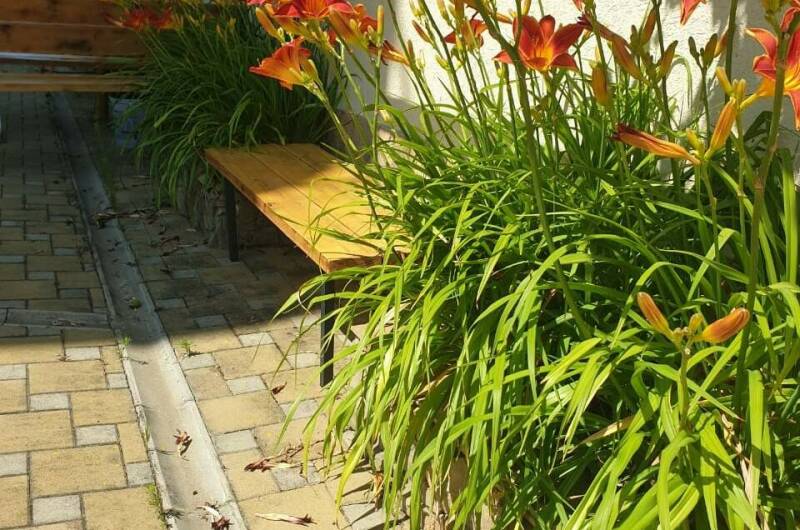 Изображение Изображение отеля / гостиницы "Мини-отель «Уютный»" #10 #8