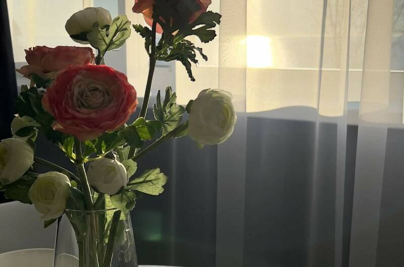 Изображение Изображение квартиры / апартамента "Уютная квартира с видом на море" #10 #8