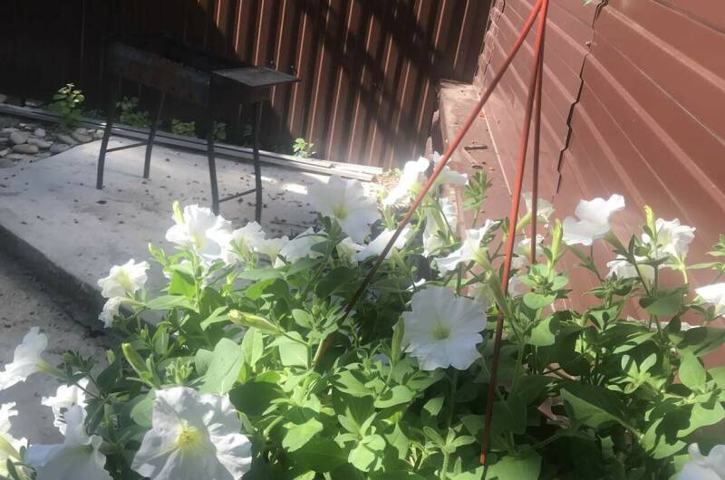 Изображение Изображение гостиницы &quot;Гостевой дом «Дом»&quot; #3 #3