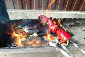 Изображение Дом под ключ «Дом Солнца» #5