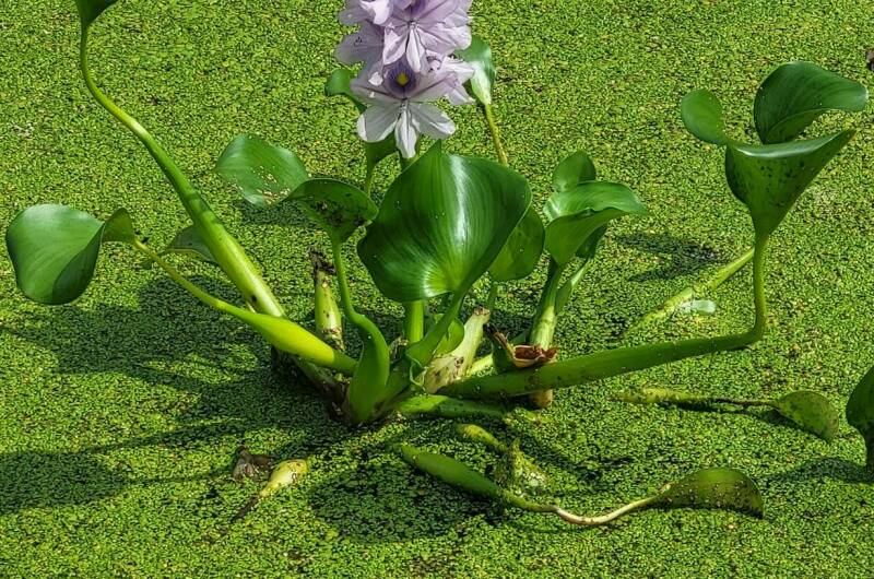 Изображение Изображение гостиницы &quot;Гостевой дом «У Озера»&quot; #3 #3