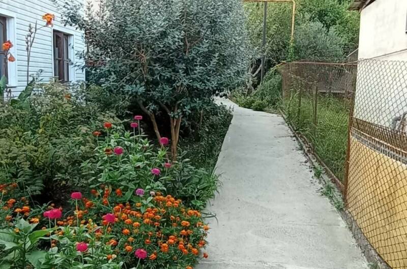 Изображение Изображение гостиницы "Гостевой дом «Арди»" #4 #4