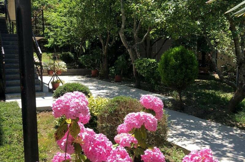 Изображение Изображение гостиницы "Гостевой дом «Арди»" #5 #5