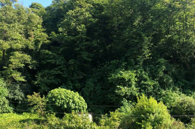 Изображение Изображение отеля / гостиницы "Гостевой дом «Арди»" #10 #8